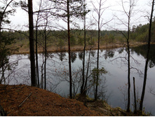 IMG 20161029 092409.jpg