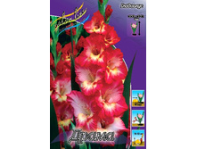 10,7���. ��������� �����(���������� �� ����� �������� �� 7��.).jpg