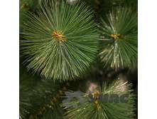 ���� HJ500 500�� �����. 3000���-12�� ���.�����. ��� 00071225 54939,7���.jpg