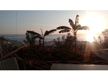 IMG 20161024 173222.jpg