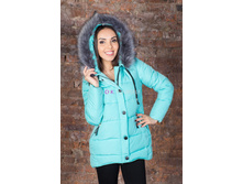 ������ ���.8115, 1800�