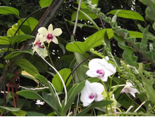 DSCF8122.JPG