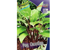 93,1���. ����� ��� �������(�������� ���� �� 1 ��., ����������� ����� 1��.).jpg