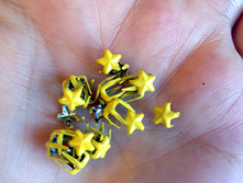 5�� 5�� 20���