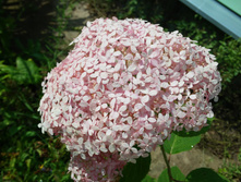 20160723 135928.jpg