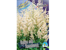 61,55���. �������� ���� �� �������(�������� ���� �� 2 ��., ����������� ����� 1��.).jpg