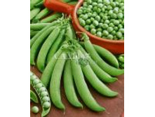 ����� ������ ������ F1