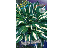 172,1���. ����� ����� ������(�������� ���� �� 1 ��., ����������� ����� 1��.).jpg