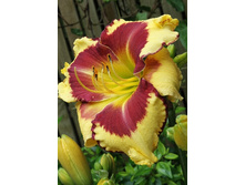 156,3���. �������� ����������� ����(�������� ���� �� 1 ��., ����������� ����� 1��.).jpg