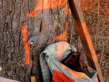 IMG 7760 f.jpg