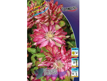 172,95���. �������� ����(�������� ���� �� 2 ��., ����������� ����� 1��.).jpg