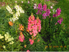 DSCN2155.JPG