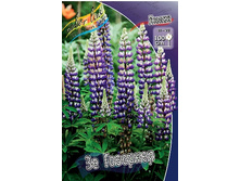 31,27���. ����� �� ��������(�������� ���� �� 3 ��., ����������� ����� 1��.).jpg