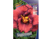 172,1���. �������� ����������(�������� ���� �� 1 ��., ����������� ����� 1��.).jpg