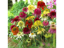 81,3���. �������� ����� ������� ����(�������� ���� �� 2 ��., ����������� ����� 1��.)���17.jpg