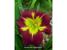 86,05���. �������� ���� �����(�������� ���� �� 2 ��., ����������� ����� 1��.).jpg