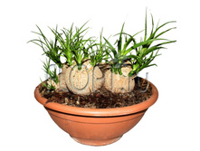 ������ � ������ ��������������� 27�30. 1294,65 ���.jpg