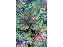 203,7���. ������� ����� �����(�������� ���� �� 1 ��., ����������� ����� 1��.).jpg