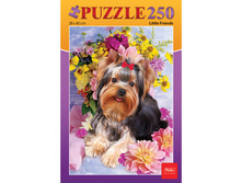 ���� STANDARD 250 ���������, �3, ����������� ������, 280�400��, 250��3 09738 97,09.jpg