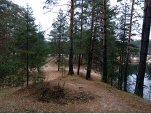 IMG 20161029 074011.jpg