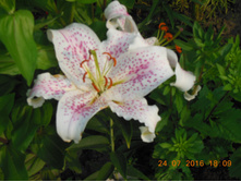 DSCN2139.JPG