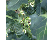 �������� �ݣ ���ԣ�....