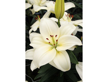 23,96���. ����� ����(��� 7 ��. ���������� �� 2��.).jpg