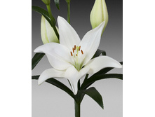 20,59���. ����� ������(��� 7 ��. ���������� �� 2��.)���17.jpg