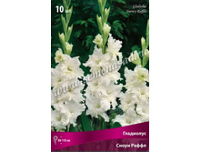 ��������� ����� �����.jpg