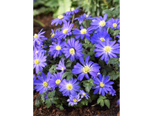 6,15���. ������� ��� �����(���������� ������ ������ ���������� �� 10 ��.).jpg