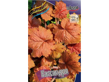 203,7���. ������� ���������(�������� ���� �� 1 ��., ����������� ����� 1��.).jpg