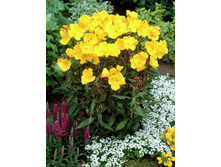 86,05���. ������� �����������(�������� ���� �� 2 ��., ����������� ����� 1��.)���16.jpg