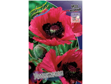 117,65���. ��� ����������(�������� ���� �� 2 ��., ����������� ����� 1��.).jpg