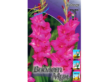 7,86���. ��������� ������ ���(���������� ������ ������ ���������� �� 7 ��.).jpg