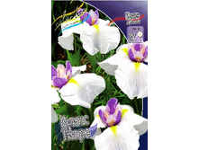 145,3���. ���� ���������� ����� �����(�������� ���� �� 1 ��., ����������� ����� 1��.).jpg