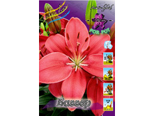 20,59���. ����� ������(��� 7 ��. ���������� �� 2��.).jpg