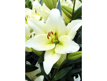 18,9���. ����� �����(��� 7 ��. ���������� �� 2��.).jpg