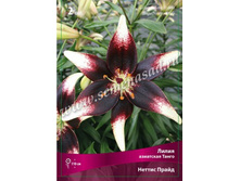 ����� ������ �����.jpg