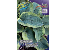 54,45���. ����� ������� �������(�������� ���� �� 2 ��., ����������� ����� 1��.).jpg