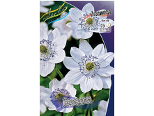 116,8���. ������� �������(�������� ���� �� 1 ��., ����������� ����� 1��.).jpg