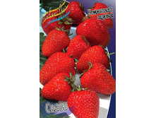 23,36���. ��������� ������� �����(���������� ������ ������ ����������. � �������� 5 ��.).jpg