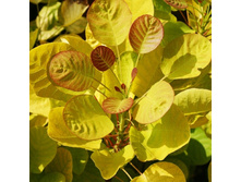 ������� ���������� ������ ������-207.jpg