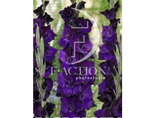 13,2���. ��������� ������(���������� �� ����� �������� �� 7��.)���17.jpg