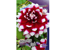 61,4���. �������� ������� ���(�������� ���� �� 1 ��., ����������� ����� 1��.).jpg