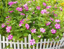 DSCN2152.JPG