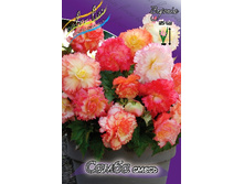 58,97���. ������� ����� �����(�������� ���� �� 3 ��., ����������� ����� 1��.).jpg