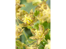 113,7���. ��������� ������ ���������(�������� ���� �� 1 ��., ����������� ����� 1��.).jpg