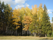 DSCN3193.JPG
