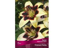 ����� �������� �����.jpg