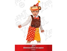3071.jpg